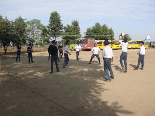 Volleyball Court