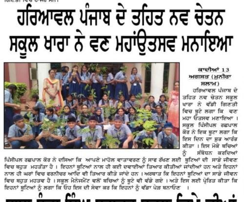 Tree Plantation 